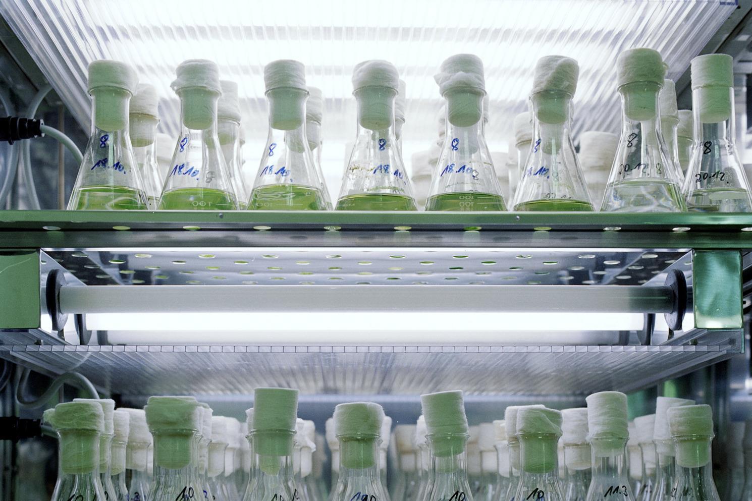 Investors call for corporate and government action on toxic chemicals – Investment & Pensions Europe