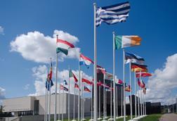 EU flags