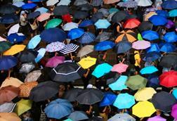 umbrellas diversity