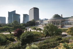 City Focus - Brussels