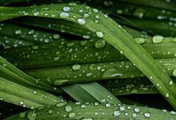 Using ESG Data to Simplify the Complex