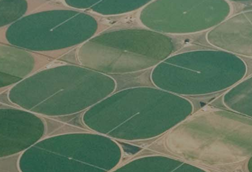 Understanding the characteristics of ESG ratings data