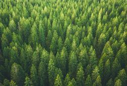 Sustainability-linked LBO loans - fad or future?