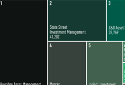 Managers of Irish institutional assets 2026