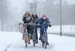 Cyclists in snow netherlands