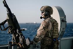 Danish defence