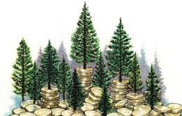 Private credit - IPE Mar-Apr 2025