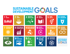 The Sustainable Development Goals