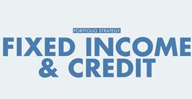 Portfolio strategy - Fixed income and credit