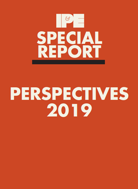 special report perspectives