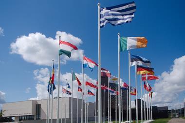 EU flags