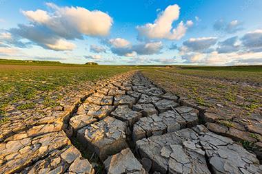 Central Bank Climate Change - dry cracked land_550x405