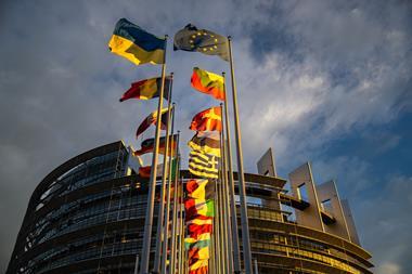 Flags of the country members of the European Union are raised at the EP headquarters in Strasbourg
