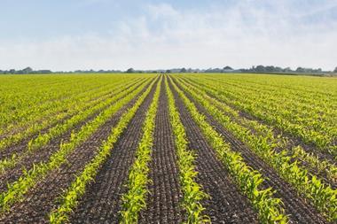 From Diets to Tech- The Opportunity in Sustainable Agriculture