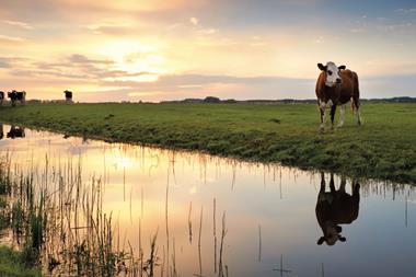 Netherlands