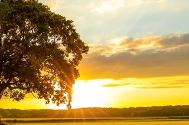 Global Equities - Introducing our Sustainability Assessment Framework
