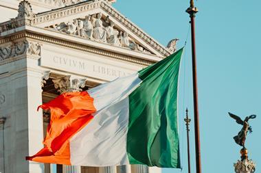 Ireland flag parliament