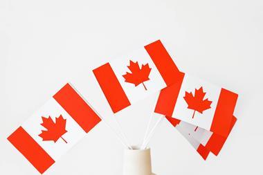 Canada flags maple leaf