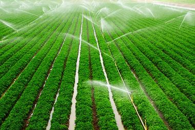 PM-10666-PM-Viewpoint-Regenerative-agriculture-definition-implementation-and-impact_1200X628