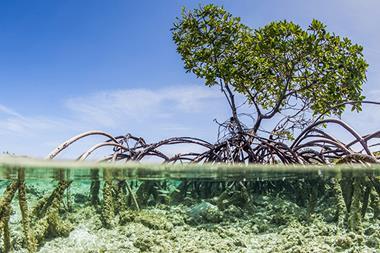 Debt-For-Nature Swaps - Everything Old Is Blue Again