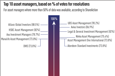 Top 10 asset managers, based on % of votes for resolutions