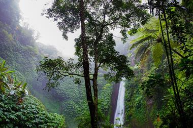 nature-forest-waterfall-jungle-2079