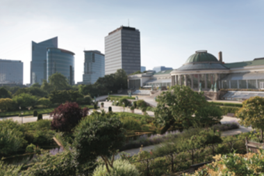 City Focus - Brussels