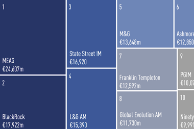 Emerging market debt managers 2025