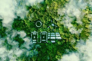 Climate Transition risk in Fixed Income Insurance Investment