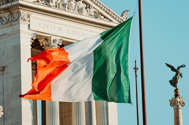 Ireland flag parliament