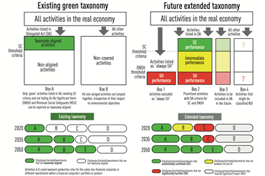 The existing green and future extended taxonomies