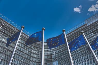 EU FLAGs Brussels