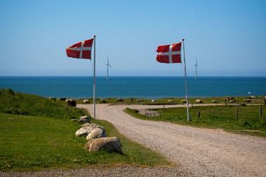 Danish flags coast
