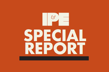 special report perspectives