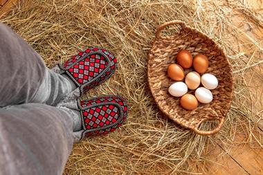 eggs in a basket