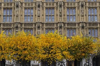 54916710770_297ee75587_o