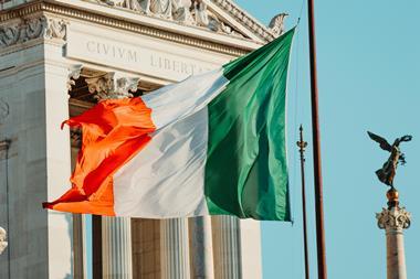 Ireland flag parliament