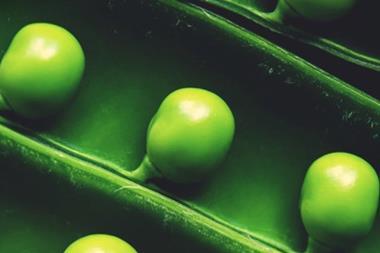 Green winners in the global economy - research by Lombard Odier and Oxford University