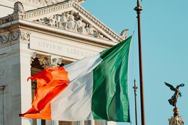 Ireland flag parliament