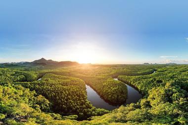 Sustainability in the age of Trump- Expert insights for investors