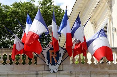 French flags