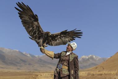 Kazakhstan eagle - Photo- Turfantastik, Dreamstime