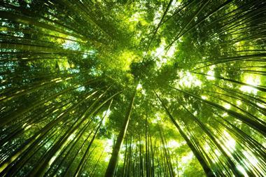 asia-ex-japan-trees