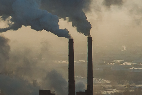 Fighting the climate crisis - mitigation and adaptation