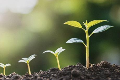 growth