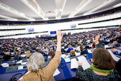 european parliament