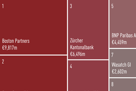 Small and mid cap equities managers 2026