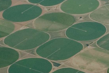 Understanding the characteristics of ESG ratings data