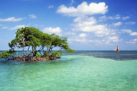 Belize coastline