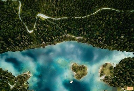 Carbon credits- reinforcing quality for impact and returns